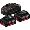 Image de Bosch Professional Kit 2 Batteries li-ION 5,0 ah gba 18v + Chargeur Rapide Gal 1880 CV professionnal & Bosch Souffleur bosch gbl 18v-120 (Machine Seule)