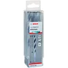 Image de Bosch Professional 10x forets hélicoïdaux HSS PointTeQ (pour métal, 9,5 x 81 x 125 mm, accessoires pour perceuses-visseuses)