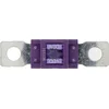 Image de RESTAGRAF 217147 Fusible