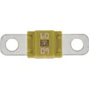 Image de RESTAGRAF 225081 Fusible