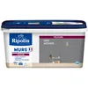 Image de RIPOLIN - Peinture Intérieure Multi-Supports   Murs, Boiseries & Radiateurs   Ultra couvrante - Monocouche - Confort d'application - Aspect Velours - Gris Ardoise - 2,5L