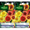 Image de Vilmorin 5271241 Gaillarde variée à grande fleur Multicolore 9 x 0,5 x 16 cm (Lot de 2)