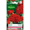 Image de Vilmorin 5464043 Géranium, Rouge