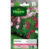 Image de Vilmorin 5247543 Pack de Graines Cosmos Sensation Nain Varié
