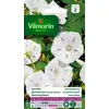 Image de Vilmorin - Ipomée Blanche étoilée - semences pour Plantation - Fleurs grimpantes annuelles 4m - variété vigoureuse - Floraison abondante - Culture Facile