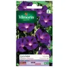 Image de Vilmorin - Ipomée Pourpre - semences pour Plantation - Fleurs grimpantes annuelles 4m - Variété vigoureuse - Croissance très Rapide - Floraison spectaculaire -