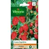 Image de Vilmorin 3585042 Pack de Graines Fraisier 4 Saisons Suprême + Vilmorin 3974040 Tomate cerise Rouge