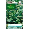 Image de Vilmorin - Menthe poivrée - Plante médicinale et aromatique - idéal pour parfumer Cocktails et salades - développement Important, Verte