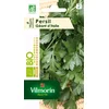 Image de Vilmorin Persil Géant Vert