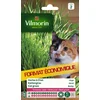 Image de Vilmorin Herbe à Chat