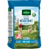 Image de VILMORIN - Gazon Ultra-Résistant - Premières pousses dès 2 semaines - Pour terrains de sport, de jeux ou zones de passage - Pour Créer un nouveau gazon/regarnir un gazon ancien - 10 Kg