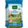 Image de Vilmorin 4462418 Gazon Ultra Résistant, Pelouse sac 15 kg Label Rouge