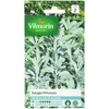 Image de Vilmorin - Sauge officinale - Plante aromatique Vivace - en Pot ou Jardin - Floraison méllifère - vertus médicinales - Facile à cultiver - rendement 3x2m