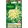 Image de Vilmorin 3257542 Pack de Graines Chicorée Scarole Géante Maraichère Race Salanca Sélection