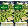 Image de Vilmorin 3875042 Pourpier dore Vert 9 x 0.5 x 16 cm (Lot de 2)
