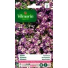 Image de Vilmorin 5125342 Alysse Violet 9 x 0,5 x 16 cm