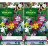 Image de Vilmorin 5135842 Ancolie etoile variée Multicolore 9 x 0,5 x 16 cm (Lot de 2)