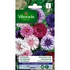 Image de Vilmorin Centaurée Bleuet Double Variée Fleur Multicolore