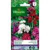 Image de Vilmorin 5286041 Giroflée d hiver Multicolore 9 x 0,5 x 16 cm