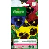 Image de Vilmorin 5471241 Pensée géante Multicolore 9 x 0,5 x 16 cm (Lot de 2)