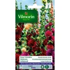 Image de Vilmorin 5751742 Pack de Graines Rose Trémière Double Grande Variée