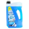Image de MICHELIN Lave-glace (Ref: 009290)