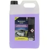 Image de MICHELIN Expert 009358 Lave-Glace Toutes Saisons -20°C, Anti-Insectes, 5 litres
