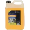 Image de MICHELIN Expert 009359 Lave-Glace été, Anti-Insectes, 5 litres