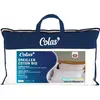 Image de COLAS NORMAND - Oreiller Coton Bio - Moelleux - 45x70cm - Coton Issu de l'agriculture Biologique - Garnissage recyclés - Fabrication française - Blanc