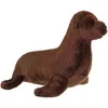 Image de GIPSY - Otarie 23 cm
