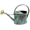 Image de Guillouard ARROSOIR Ovale 1.75L Vert Vieilli