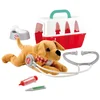 Image de Ecoiffier Chiot Avec Transport Et Accessoires