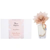 Image de Durance - Fleur parfumée en bois Ambre Précieux Diffuseurs et parfums d'intérieur 500 ml unisex