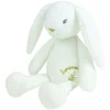 Image de JEMINI | Peluche Lapin Luminou 30 cm | Fonctionne sans Pile | Tissu Luminou | Doudou Qui Brille dans Le Noir | Compagnon Nuit Enfant | Veilleuse Peluche Bébé | Idée Cadeau Dès la Naissance