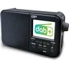 Image de CGV | Radio Portable Rechargeable DR7+ : FM et Dab+, avec Batterie, réveil programmable, écran Couleur, 40 présélections et Prise écouteurs - Noire