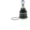 Image de TRW Rotule de suspension pour NISSAN: Almera Tino, Maxima (Ref: JBJ739)