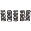 Image de TRW MEF121-5 Kit de Ressorts D'embrayage pour Triumph Motorcycles Daytona Super III 1994-1996 et autres motos