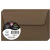 Image de Clairefontaine 5871C - Paquet de 20 Enveloppes Auto-Adhésives - Format 9x14cm - 120g/m² - Coloris Marron Taupé - Invitation Evènements et Correspondance - Gamme Pollen - Papier Premium Lisse