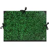 Image de Clairefontaine 32200C - Un carton à dessin Annonay fermeture 3 cordons 37x52 cm, Vert