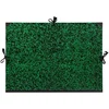 Image de Clairefontaine 32800C Carton à Dessin Annonay 3 Cordons 52x72cm Vert