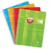 Image de Clairefontaine 68396C Un Cahier à Spirale Déficients Visuels - 24x32 cm - 100 Pages Grands Carreaux Noirs Agrandis 10/10 - Papier Blanc 90 g - Couverture Carte Pelliculée - Couleur Aléatoire