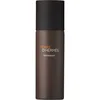 Image de HERMÈS Terre d’Hermès Déodorant vaporisateur pour homme 150 ml