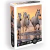 Image de Puzzle 500 pièces XL - Chevaux en Camargue, Multicouleurs