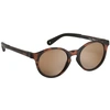 Image de Lunettes Sunrise Ecaille
