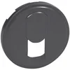 Image de Legrand 067937 Enjoliveur Céliane pour Prise Téléphone pour Réseau Mixte et Basique, Finition Graphite, Lot de 10