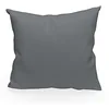 Image de Soleil d'ocre Housse de Coussin Unie 40x40 cm Alix Gris