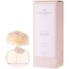 Image de Plantes & Parfums - Ambre Intense Diffuseurs et parfums d'intérieur 100 ml unisex