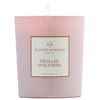Image de Plantes & Parfums - Feuilles d'Oliviers Bougies 180 g unisex