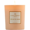 Image de Plantes & Parfums - Pêche de Vigne Bougies 180 g unisex
