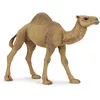 Image de Papo - 50151 - Figurine - Animaux - Dromadaire